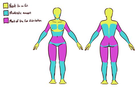 slim thick body drawing|thick body tutorial drawings.